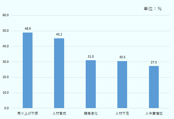 売上不振 48.9%、人材育成 45.2%、競争激化 31.0%、人材不足 30.5%、人件費増加 27.3%。 