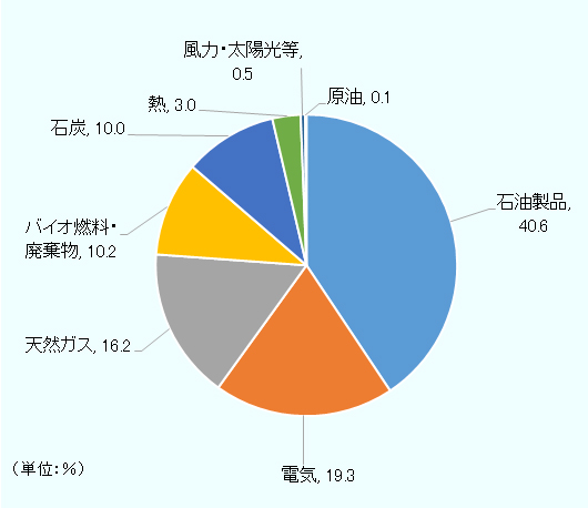 石油製品40.6％、電気19.3％、天然ガス16.2％、バイオ燃料・廃棄物10.2％、石炭10.0％、熱3.0％、風力・太陽光等0.5％、原油0.1％。 